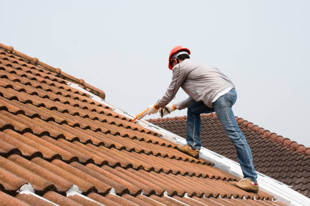 Best Chimney Flashing Repair  in Kaaawa, HI
